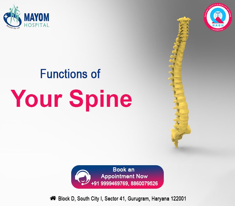 Functions of Your Spine