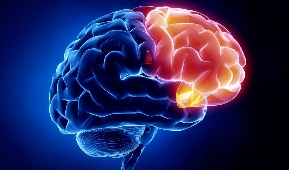 Neuropsychiatry